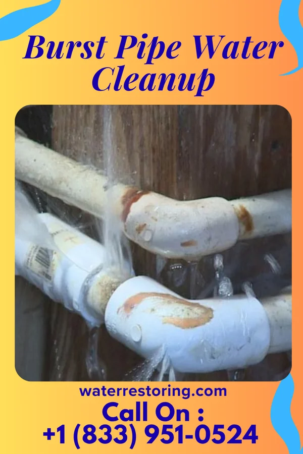 Burst Pipe Water Cleanup in Lyden, NM