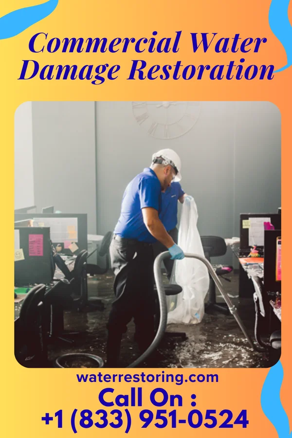 Commercial Water Damage Restoration in Lyden, NM