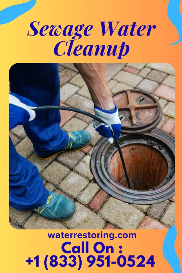 Sewage Water Cleanup in Lyden, NM