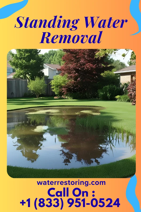 Standing Water Removal in Lyden, NM